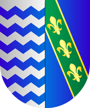 ESCUDO SIGUIENTE